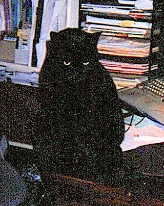 Actual photo of Schmeckle