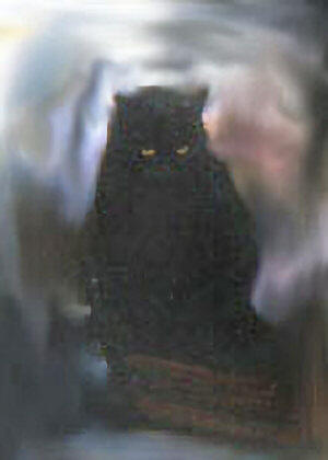 Schmeckle, computer manipulated photo